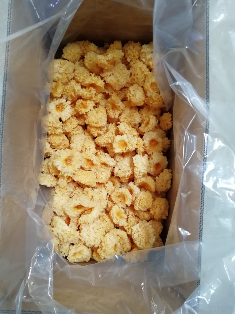 原产地厂家直销椴木小银耳干银耳规格齐全包售后