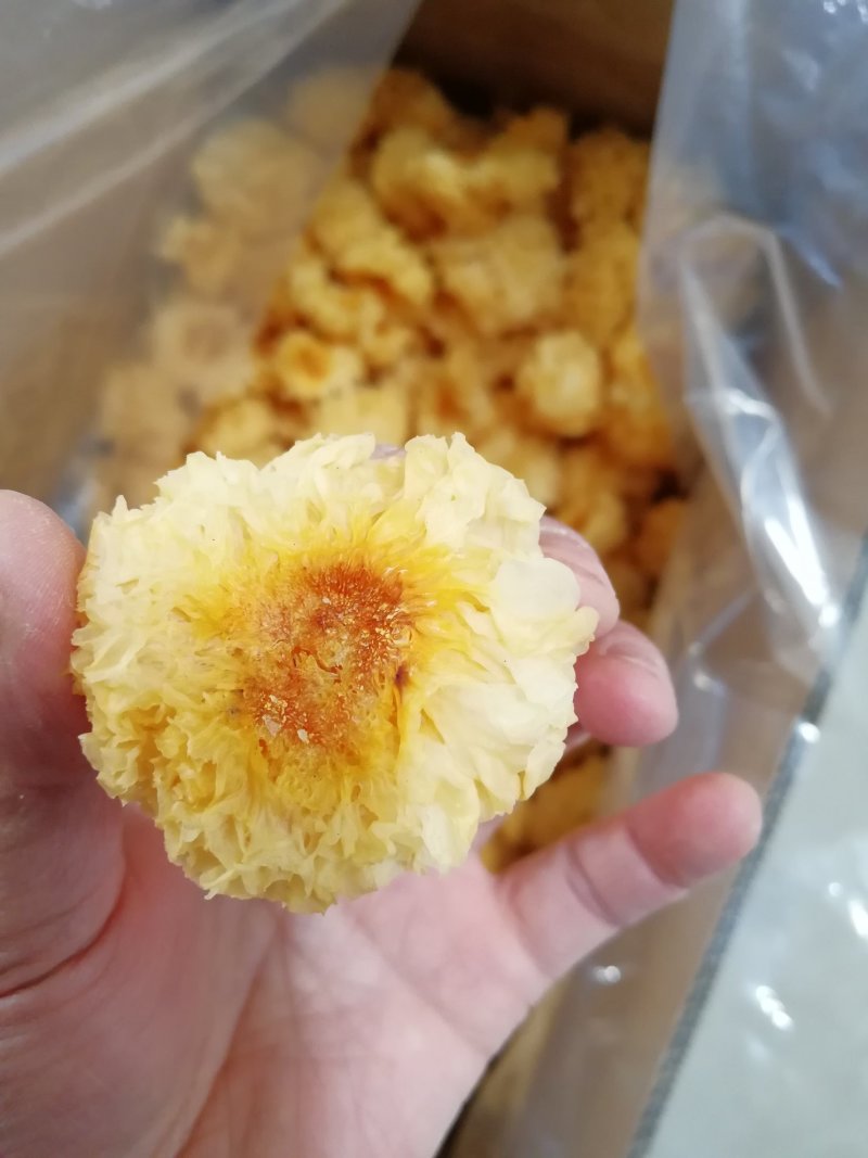 原产地厂家直销椴木小银耳干银耳规格齐全包售后