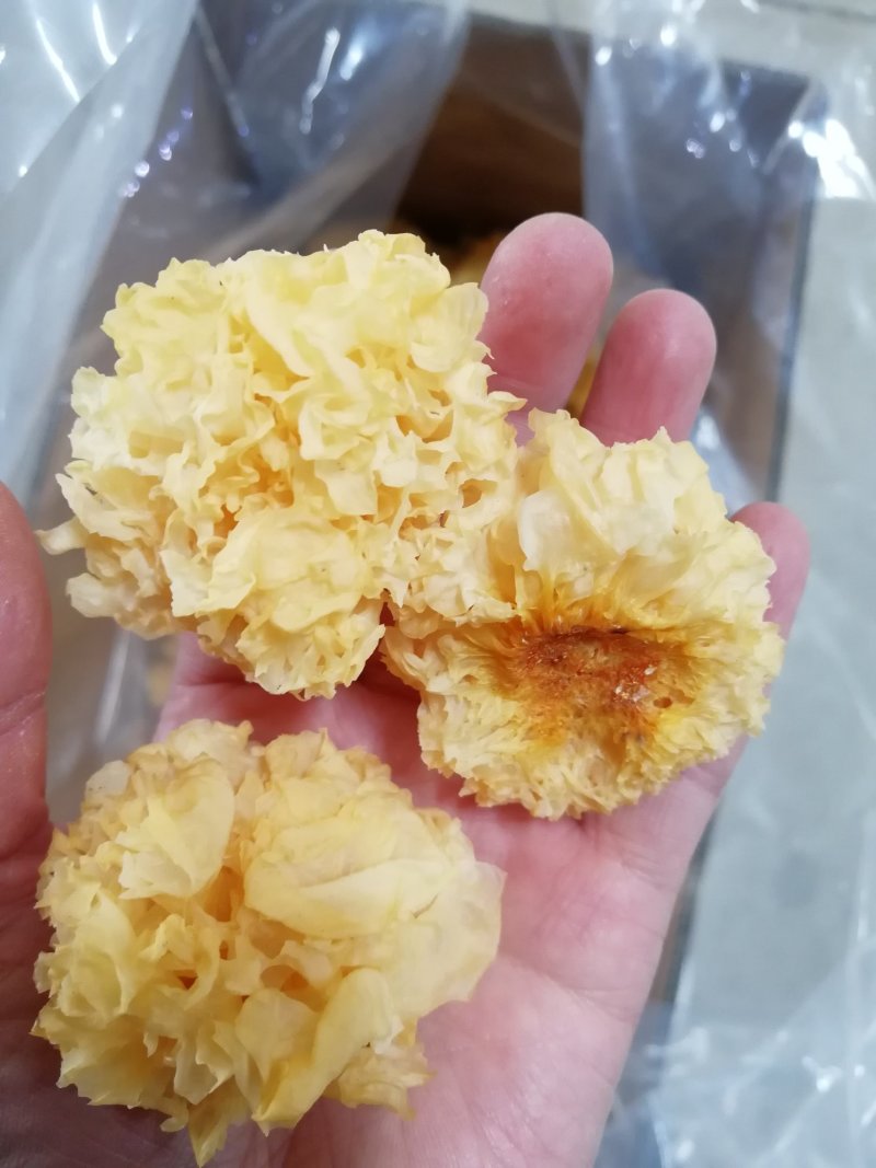 原产地厂家直销椴木小银耳干银耳规格齐全包售后