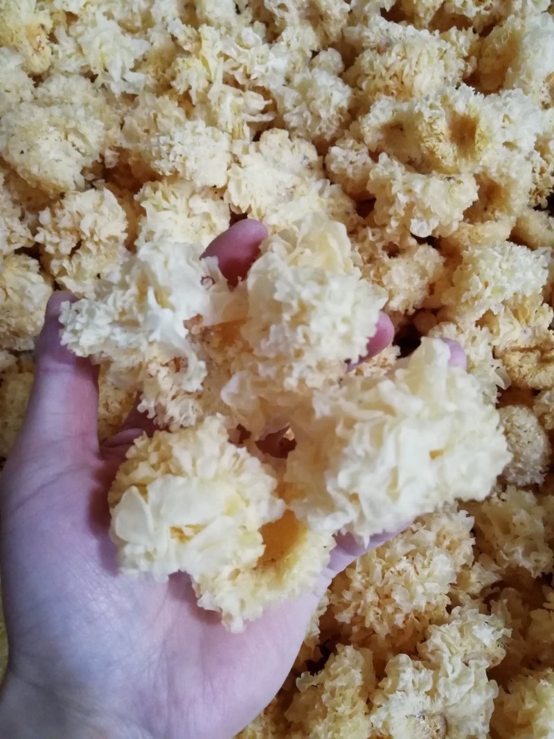 原产地厂家直销椴木小银耳干银耳规格齐全包售后