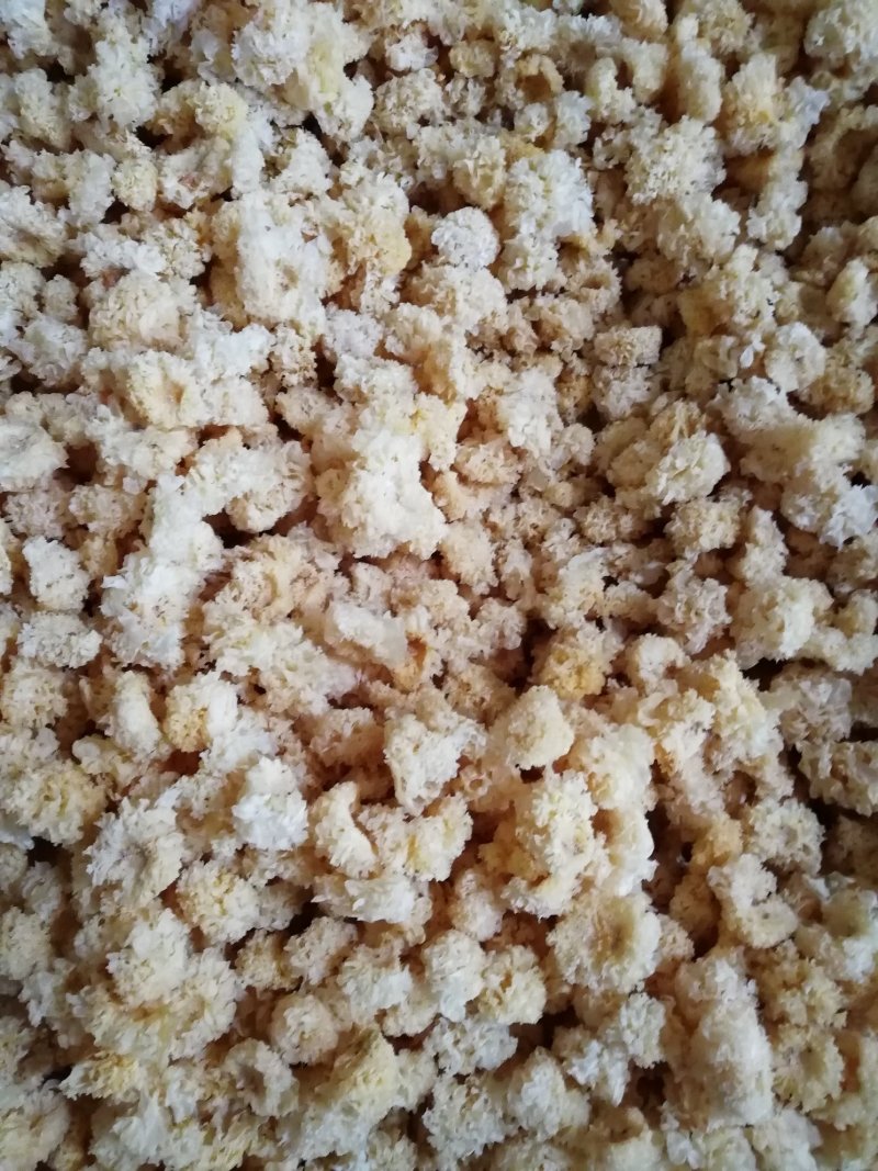 原产地厂家直销椴木小银耳干银耳规格齐全包售后