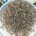 优质澳洲龙虾淡水澳洲龙虾优质澳洲龙虾