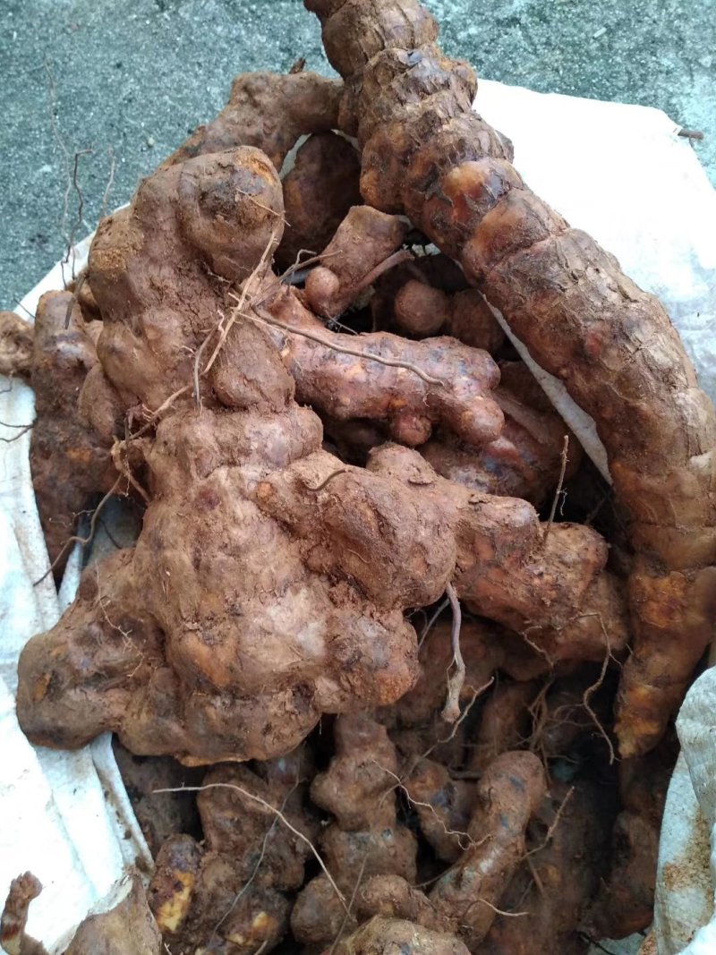 粉质土茯苓干片，本地优质粉质货