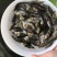 优质桂花鱼苗鳜鱼苗桂鱼苗优质桂花鱼苗鳜鱼苗桂鱼苗