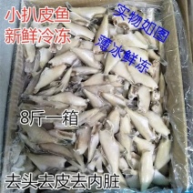 小号中号新鲜冷冻扒皮鱼马面鱼剥皮鱼橡皮鱼小耗儿鱼烧烤油炸