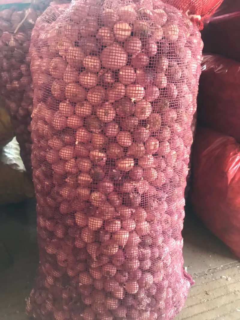 云南独蒜独头蒜产地直发级别不同价位量大价优