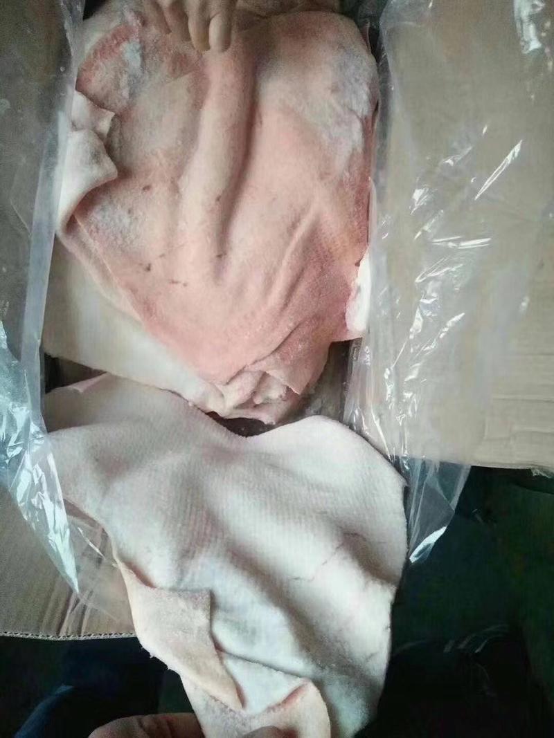 冻猪产品国产肥猪腿皮