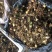 优质高含量宽叶山慈姑鲜货