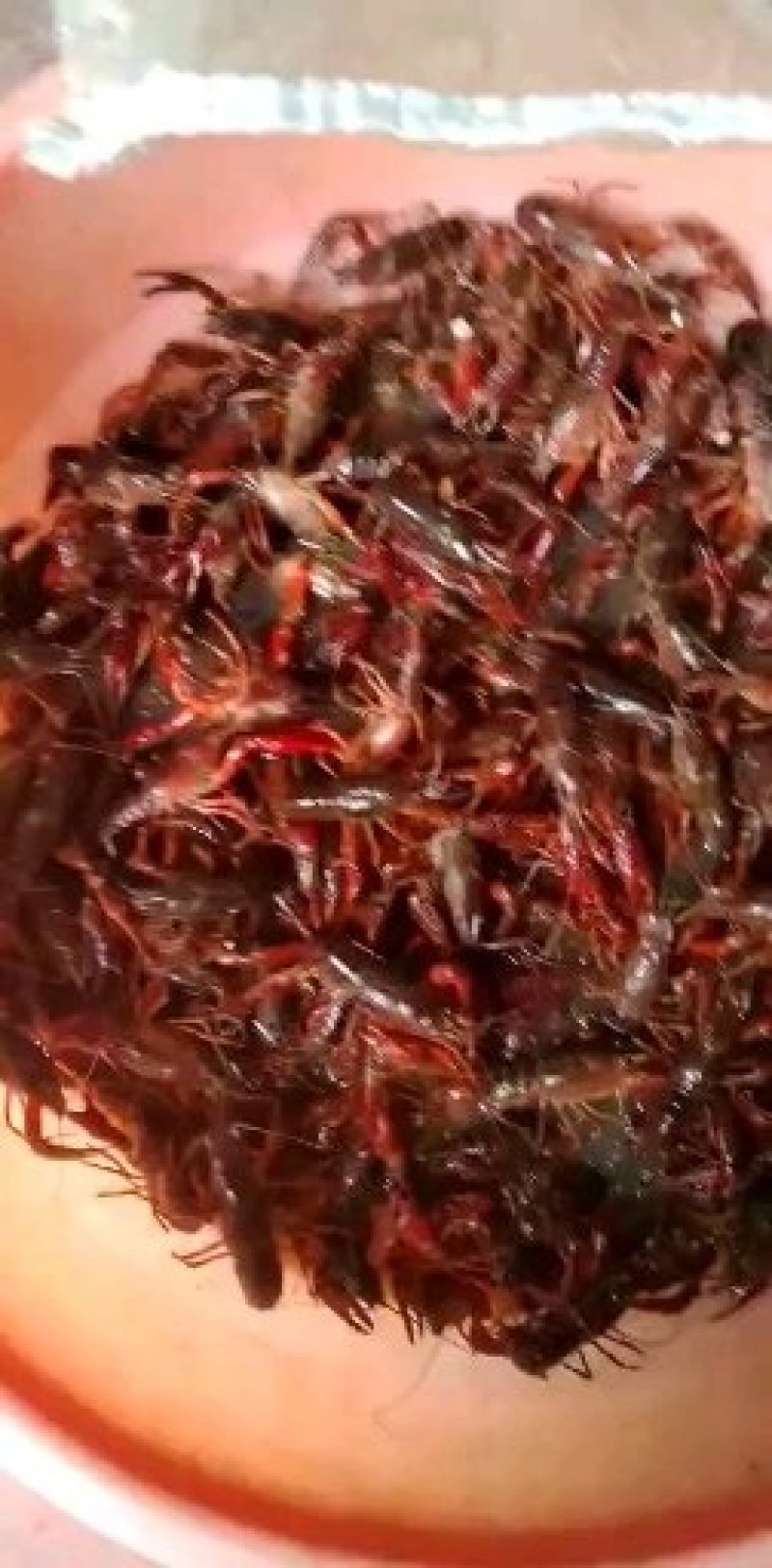 小龙虾