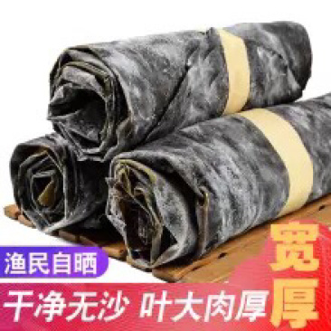 长岛海鲜大钦岛海带昆布补碘补钙
