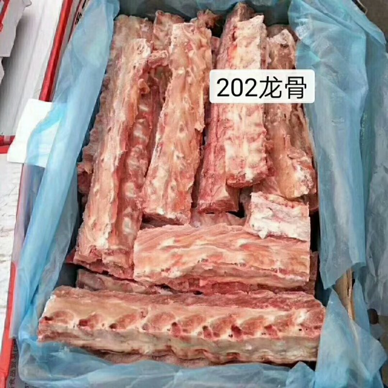 202龙骨