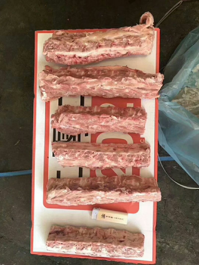 202龙骨