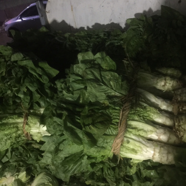 青笋，颜色鲜艳，味道清新，种植面积大，欢迎大家光临