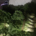 青笋，颜色鲜艳，味道清新，种植面积大，欢迎大家光临