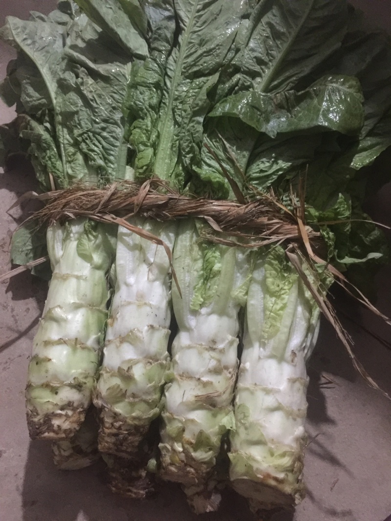 青笋，颜色鲜艳，味道清新，种植面积大，欢迎大家光临