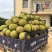 广东菠萝蜜#专业代办#大量新鲜现货供应