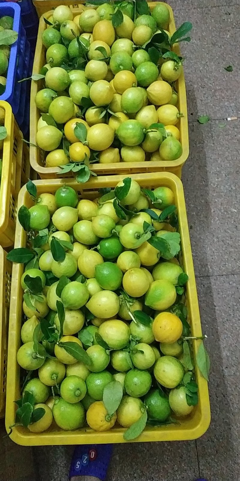 香水柠檬