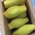 广西青芒果玉芒芒果当季新鲜水果(单果100-400g)