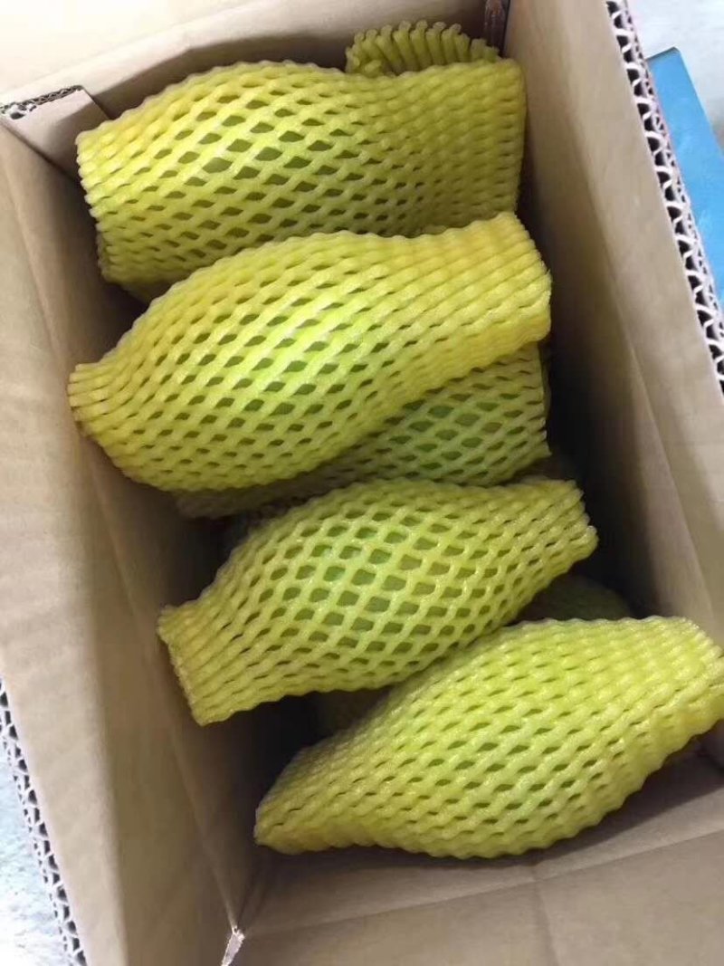 广西青芒果玉芒芒果当季新鲜水果(单果100-400g)