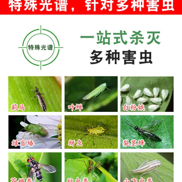 粘虫板黄板篮板
