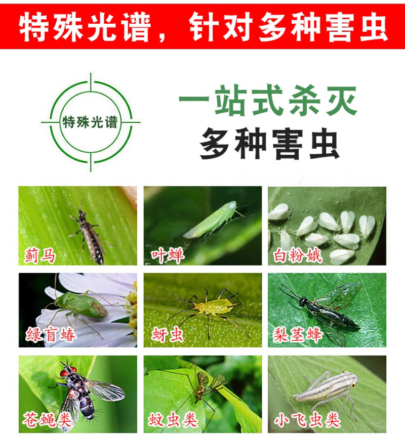 粘虫板黄板篮板