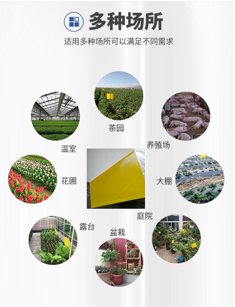 粘虫板黄板篮板