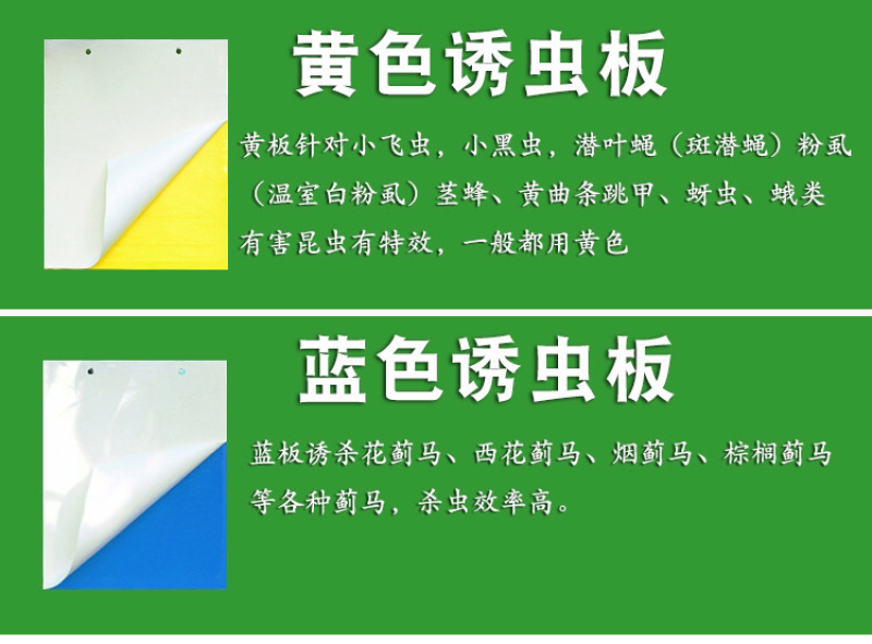 粘虫板黄板篮板
