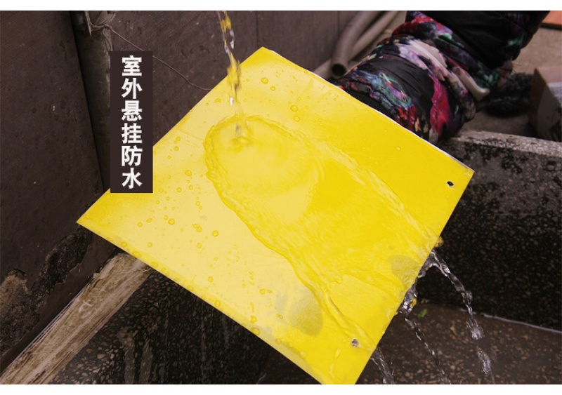 粘虫板黄板篮板