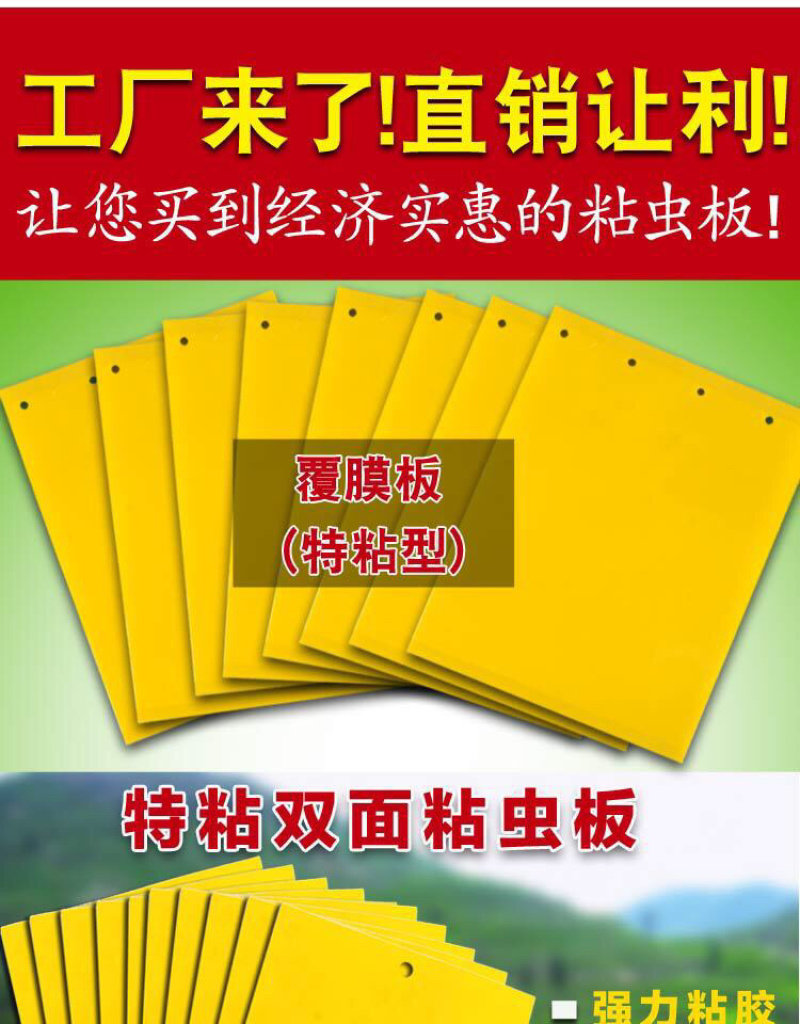 粘虫板黄板篮板