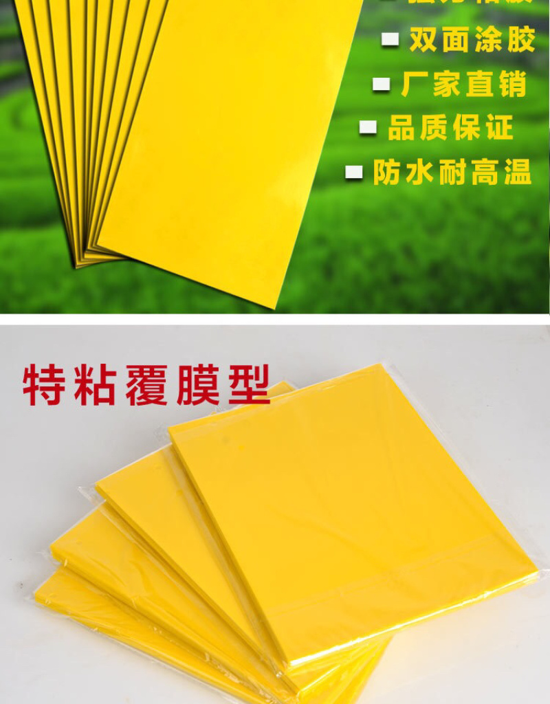 粘虫板黄板篮板