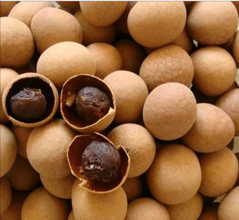 桂圆干，广西带壳桂圆干，龙眼干，个大肉厚口感好