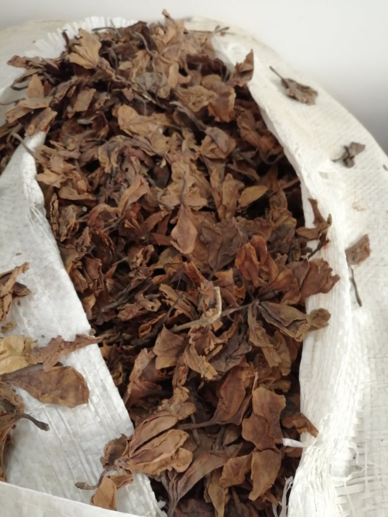 鸡蛋花，印尼鸡蛋花，蛋黄花干凉茶饮料原料