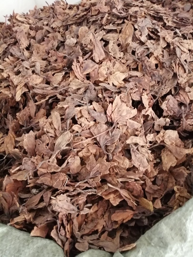 鸡蛋花，印尼鸡蛋花，蛋黄花干凉茶饮料原料
