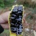 黑蜂蜜欢迎各地客商合作共赢