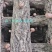 【特惠】秦岭椴木香菇原生态椴木香菇基地直供价优质保