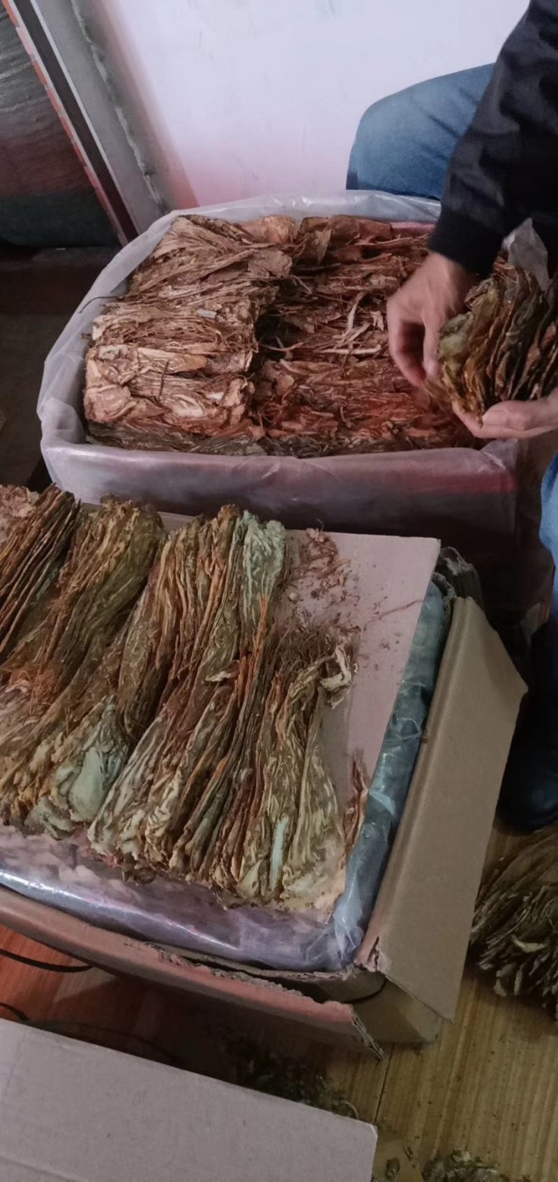 当归统片，带边皮的全当归统片，货干颜色漂亮性价比高