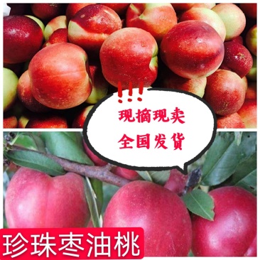 珍珠枣油桃-一手货源批发,保质保量,新鲜直达、可代发全国