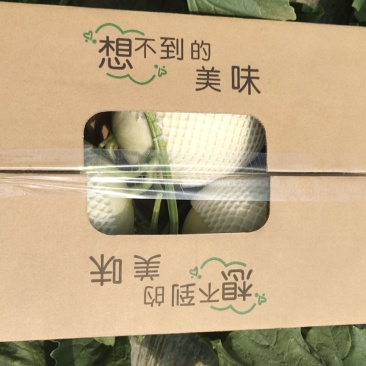 南汇玉菇，自产自销，支持一件代发