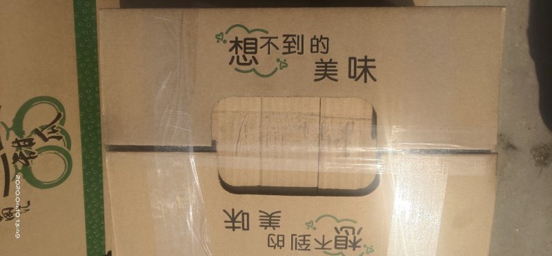 南汇玉菇，可现场或视频看货，可现场采摘或提前预约采摘
