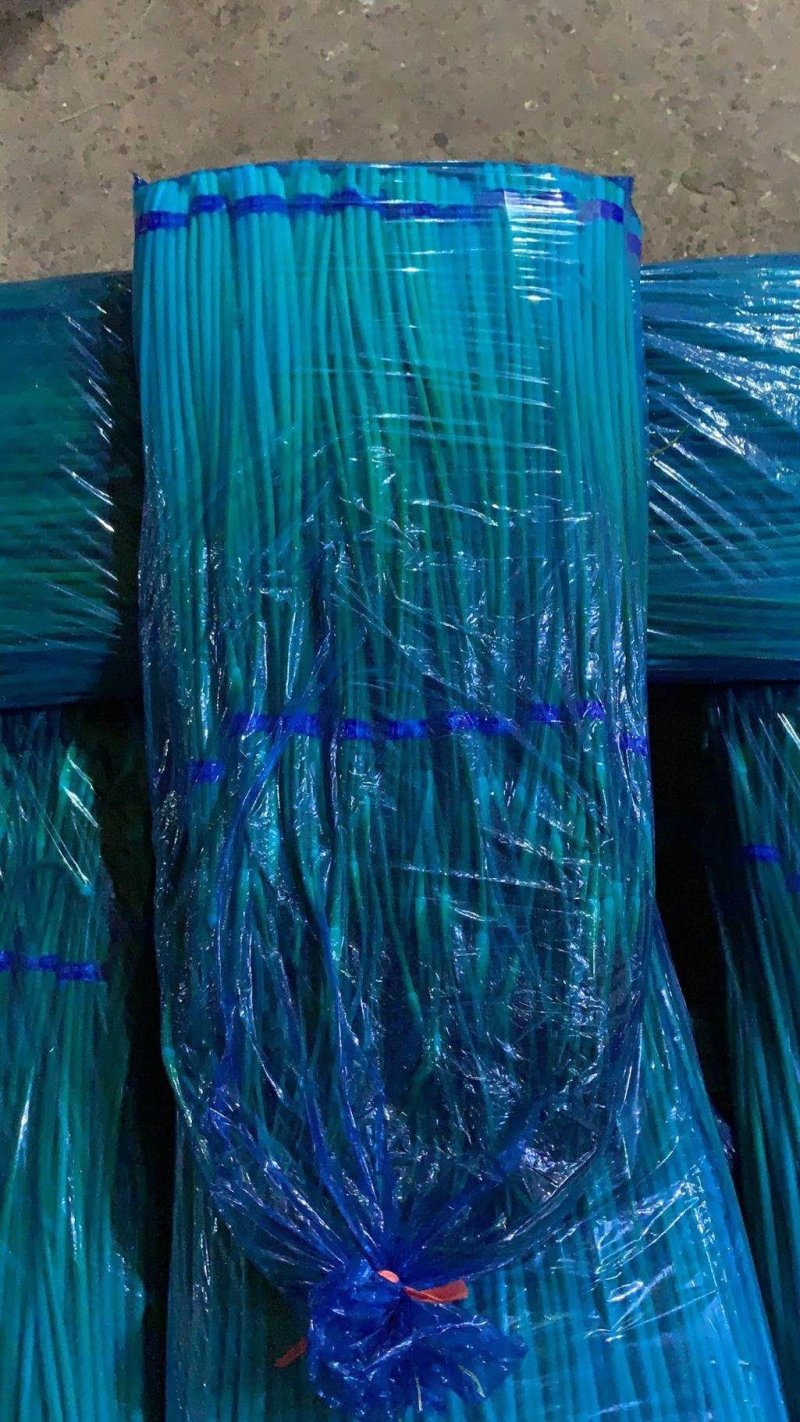 大量供应优质白帽蒜苔，产地直发，价格低，代发全国各地市场