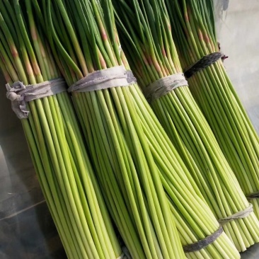 蒜薹杞县红帽蒜薹大量上市对接商超市场批发社区团购等