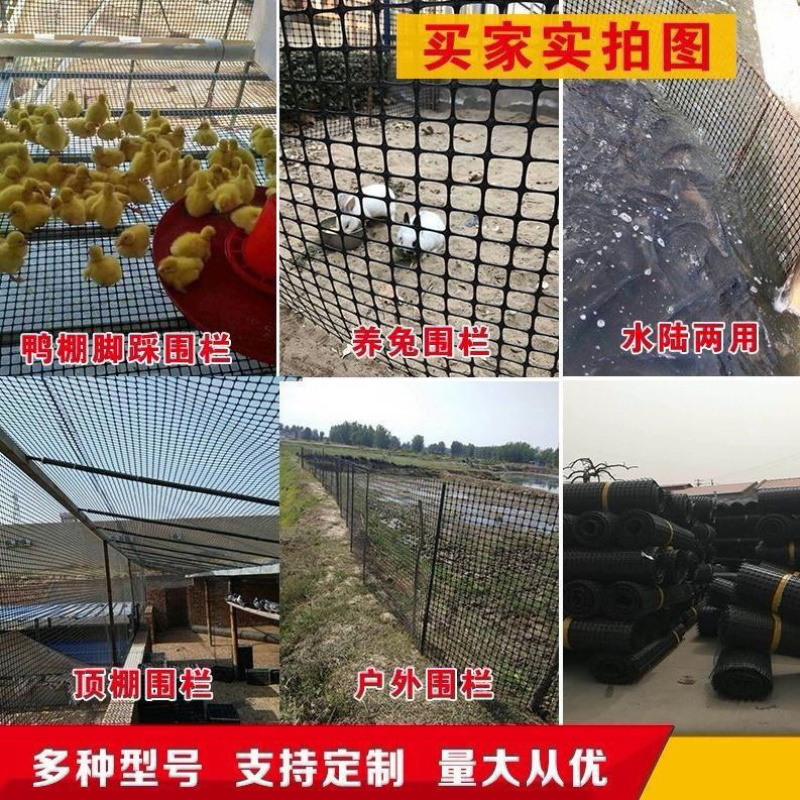 养鸡塑料网围栏网漏粪网阳台安全防护网隔离网鸡鸭围网