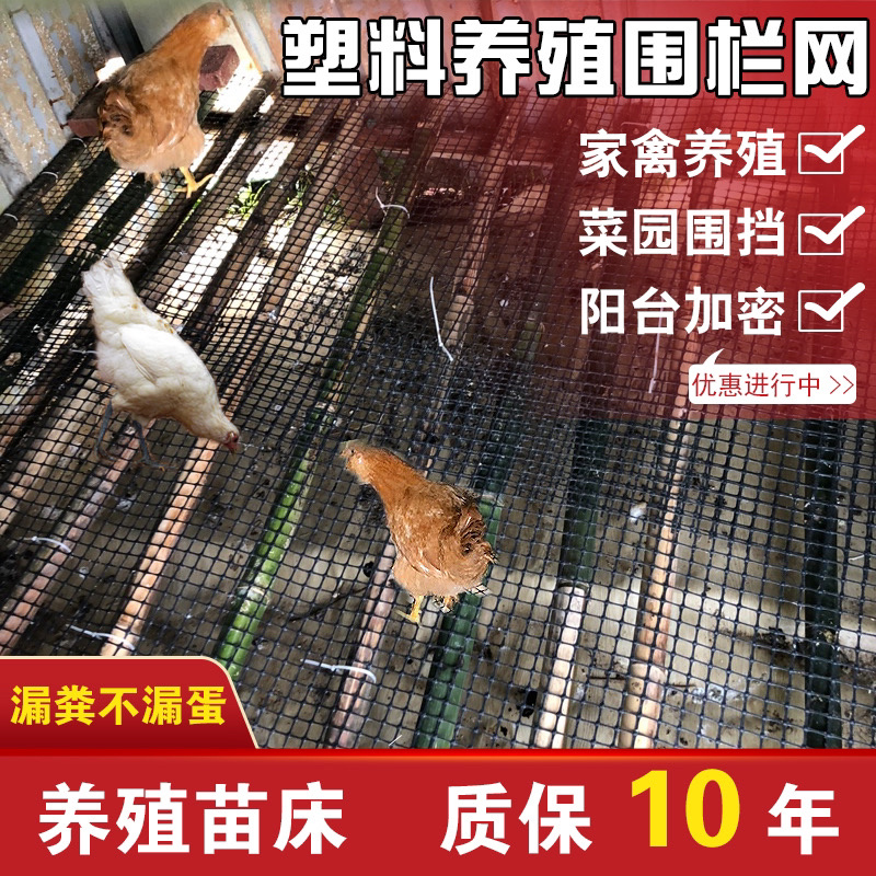 养鸡塑料网围栏网漏粪网阳台安全防护网隔离网鸡鸭围网