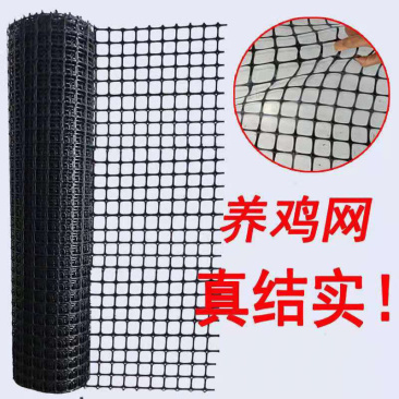 养鸡塑料网围栏网漏粪网阳台安全防护网隔离网鸡鸭围网