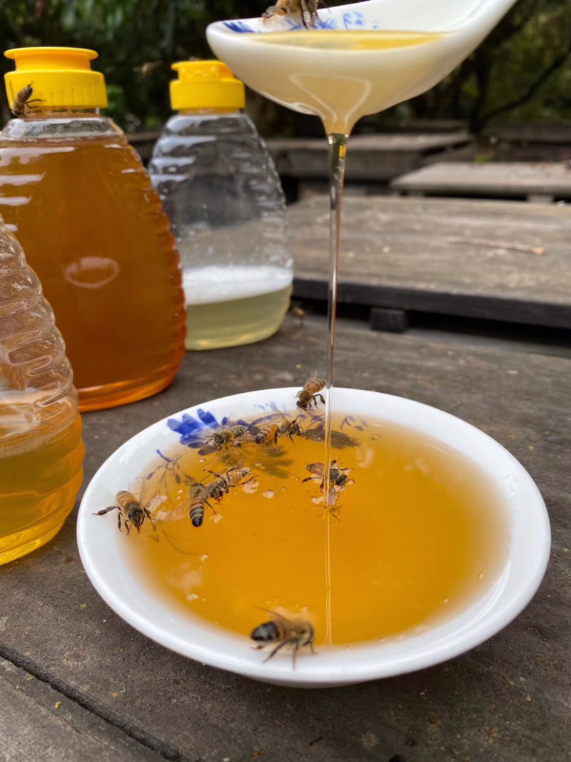 【精选】蜂蜜高州龙眼蜜、无添加、一件代发