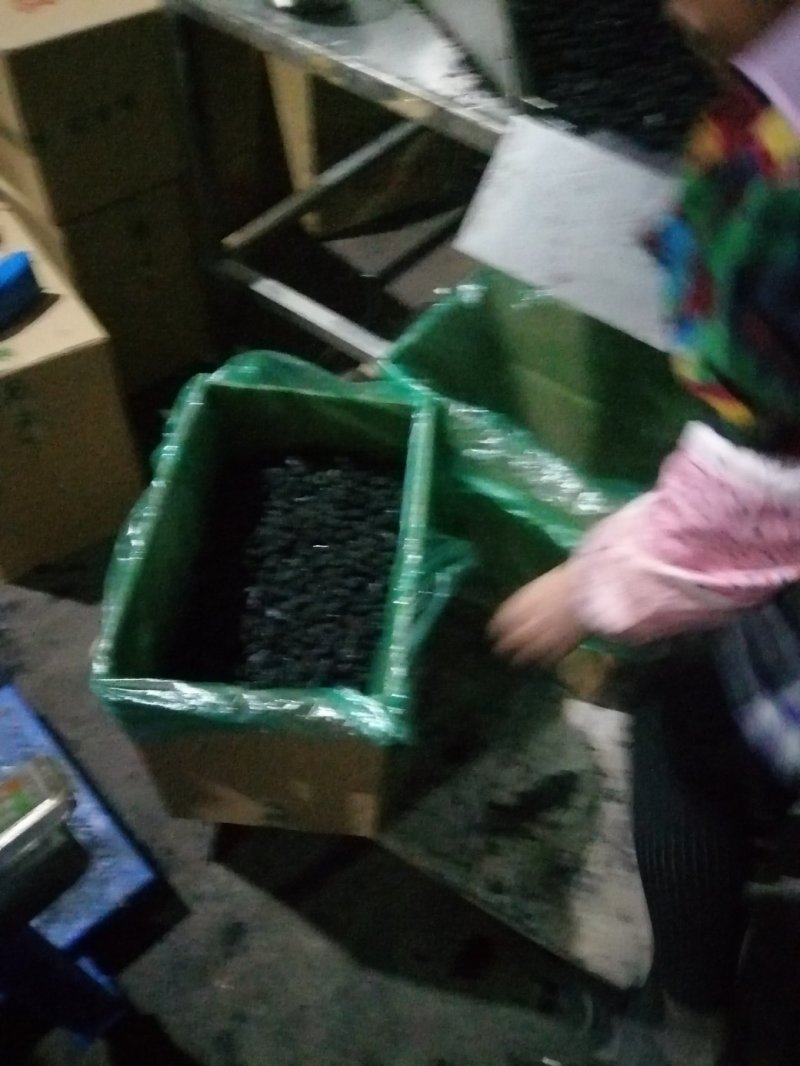 桑葚干冻果