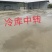 黑布郎黑总统现货河南露天黑琥珀黑宝石红布林上市