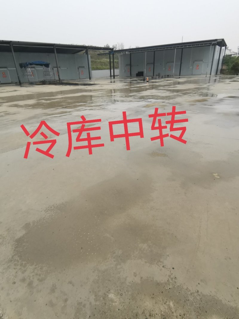 黑布郎黑总统现货河南露天黑琥珀黑宝石红布林上市