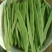 商河精品优质扁青芸豆，基地直供，一手货源，可全国发货