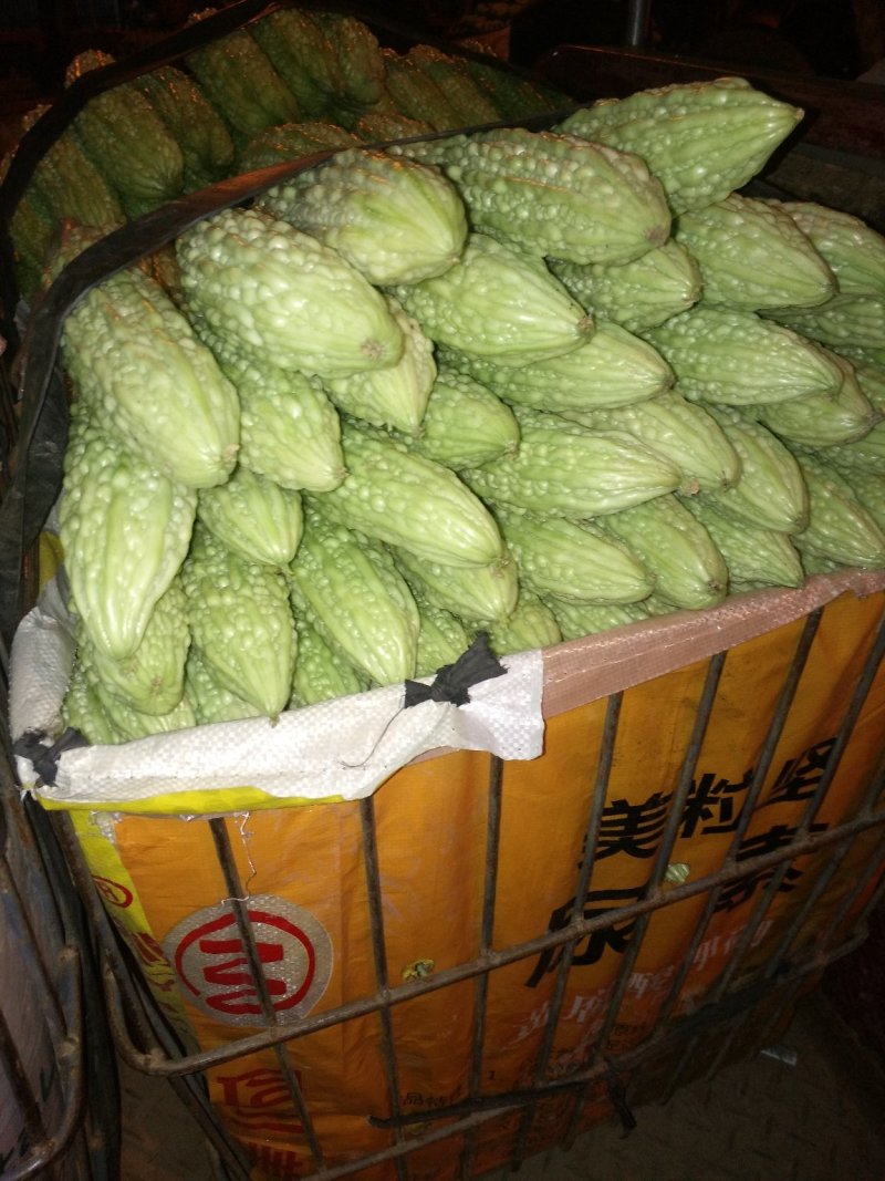 苦瓜
